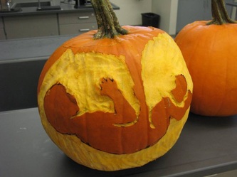 Pumpkin Carving - BIOLOGY FOR LIFE